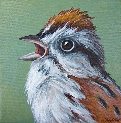 Sparrow portrait 