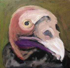Turkey Vulture portrait (step 1)