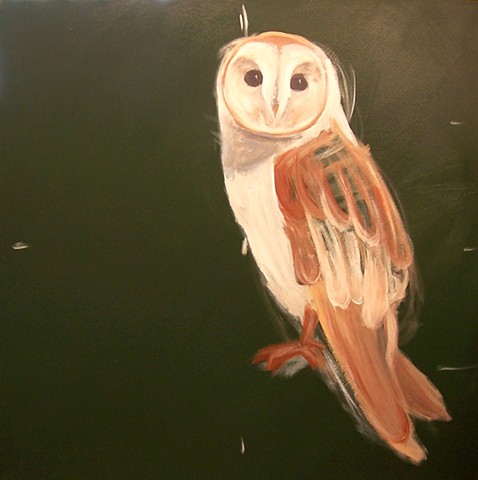 Barn Owl #2 (perched)  (step 2/9)