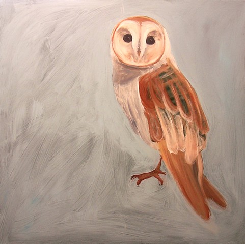Barn Owl #2 (perched)  (step 3/9)