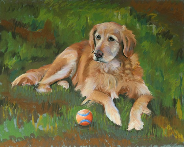 Golden Retriever Pastel Portrait, Jan Maitland, dog portrait, golden retriever, dog with ball, pastel dog painting, 