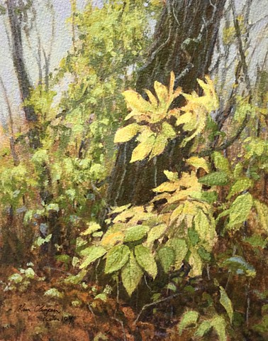 acrylic painting, Burr Oak Woods