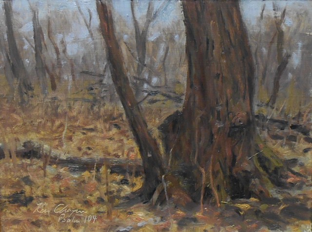 Burr Oak Woods Conservation Area; plein air painting