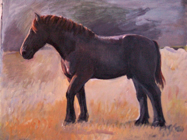 Horse Paintings and Amish Landscape