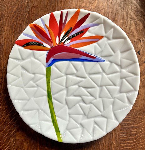 Bird of Paradise on White shallow bowl