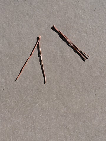 Pine Needles