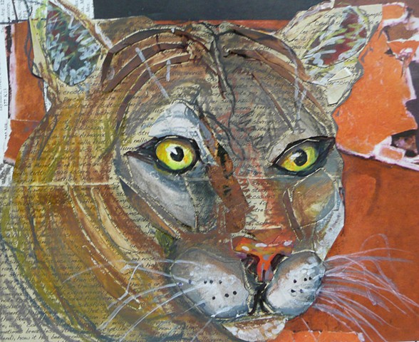 Florida Panther collage 8x6 image in 17 x 13 mat