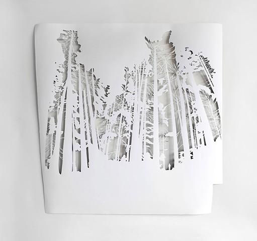 Forest Study No. 1: Redwoods