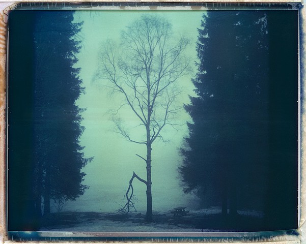 Norway winter 2014, Polaroid 669