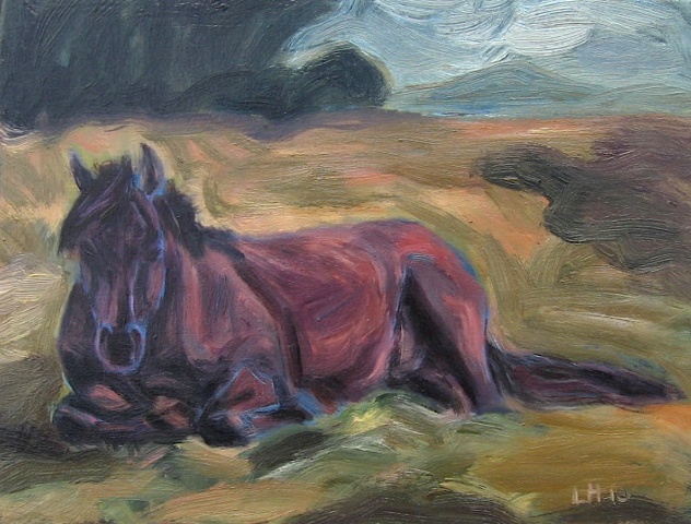 lying down horse