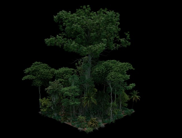 3D Isometric Jungle