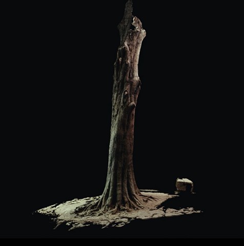 3d scan of tree using photogrammetry