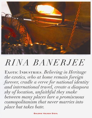 Rina Banerjee: Exotic Industries