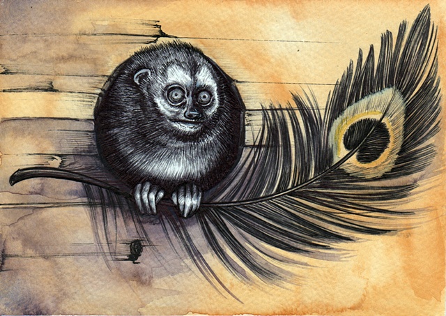 Owl Monkey, Monkey, Illustration, animal Illustration, Watercolor,animal  Sketch