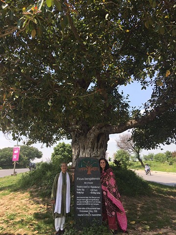 A protected banyan with activist Tahira Abdullah and Fauzia Minallah