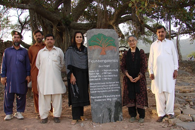 A protected banyan with activist Tahira Abdullah, Fauzia Minallah and staff of Capital Development Authority
