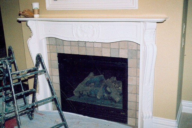 Ott fireplace before