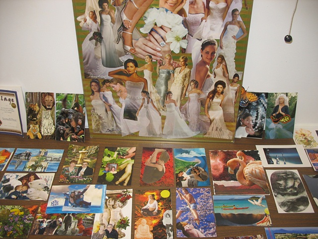 Group Display of Images: Sr. Center 2008