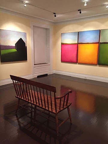 Image from my 2017 exhibit _Between Observation and Imagination_ at The Fenimore Museum in Cooperstown NY. 