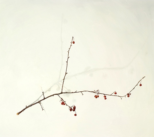 oil on paper of berries on branch