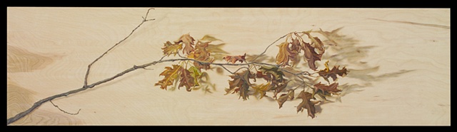 Oil on oak panel/ oak branch with shadows