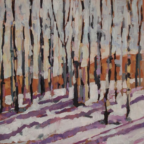 Woods, First Snow