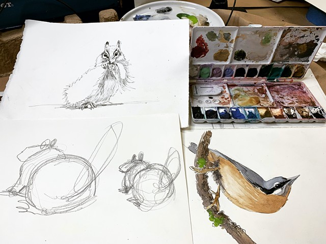 Nature Drawing Class