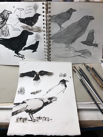 Nature Drawing-crows!