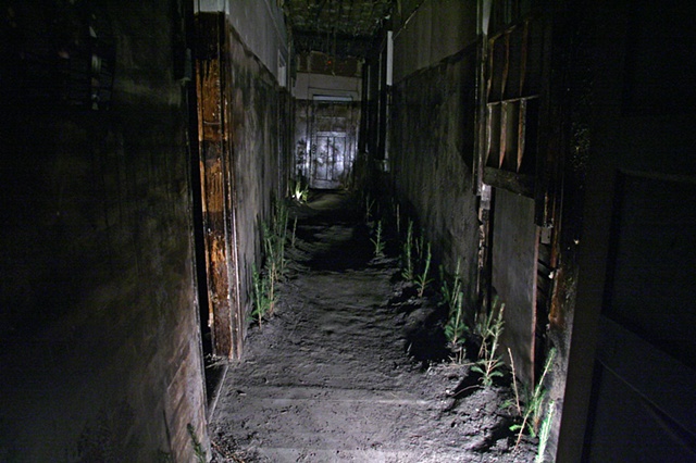 "Haunted Hallway"