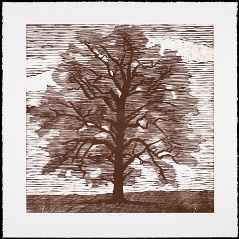 One layer woodblock print by Kristin Powers Nowlin of an oak tree.