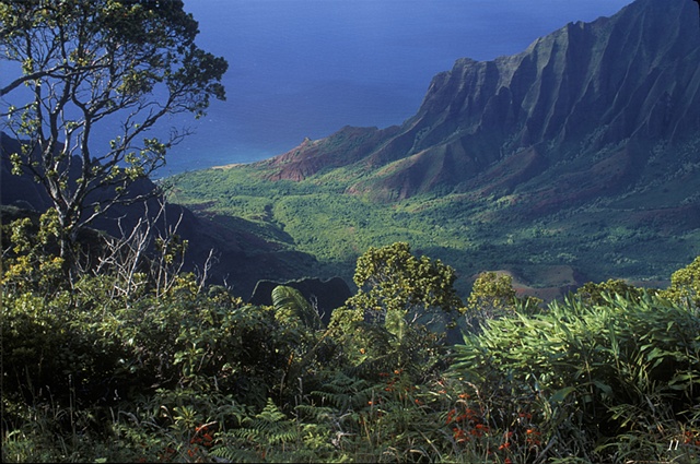  cliffs, rainforest, Kalalau Valley, Hawaii, pali,lookouts
