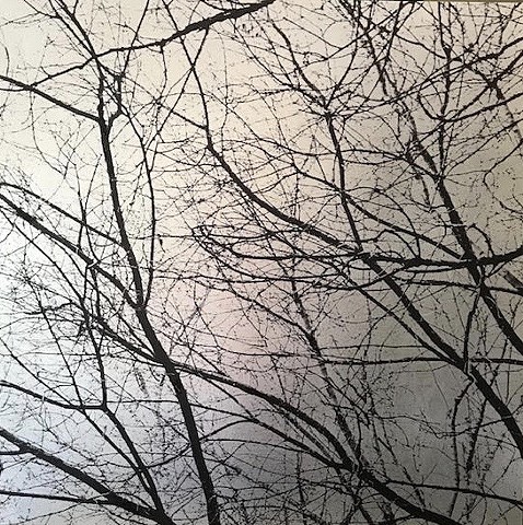"Branches 1; Silver"