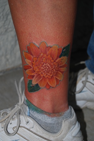daisy tattoo dave zobel