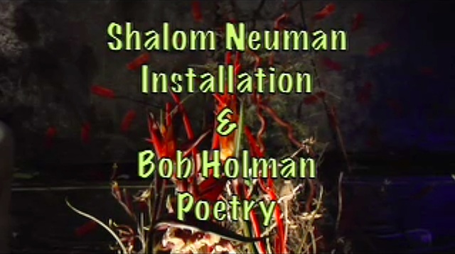 Bob Holman Poetry for Toxic Paradise Installation