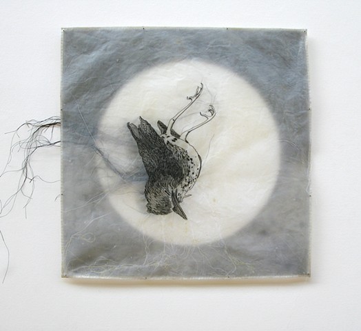 Stitched/Drawings