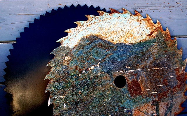 Rusting Saws, Bodega Bay, CA (1)