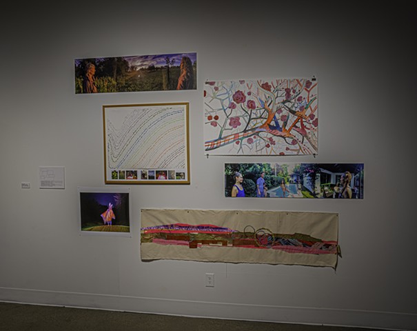 Gallery installation
