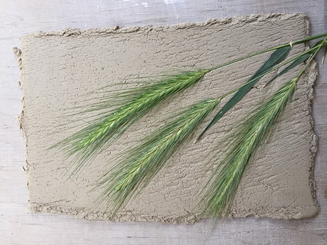 Grass Imprint