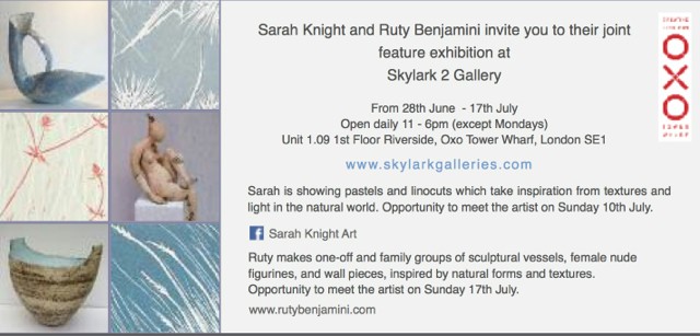 Featured Artist at Skylark 2 Gallery 27th June- 18th July 2016
