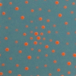 Florescent Orange Cosmos on Slate Gray Field