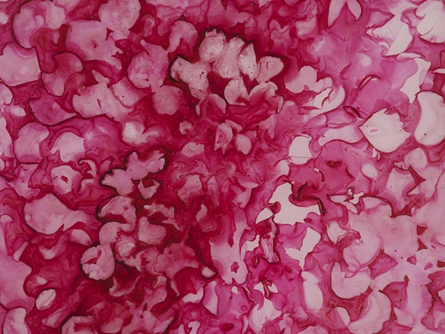 Pink Lotus (detail)