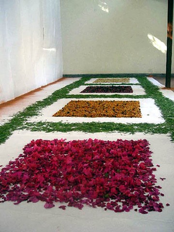 residency, Sanskriti foundation, Delhi, flowers, Mughal, garden, sand