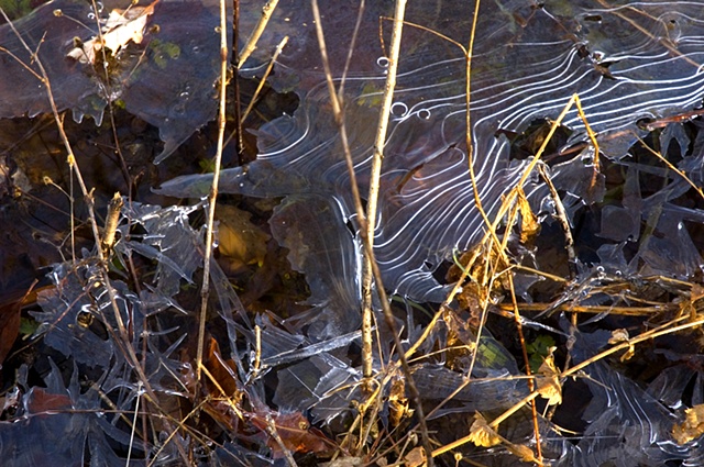 Ice Pattern, Ryerson Woods Conservation Area, Riverwoods, IL