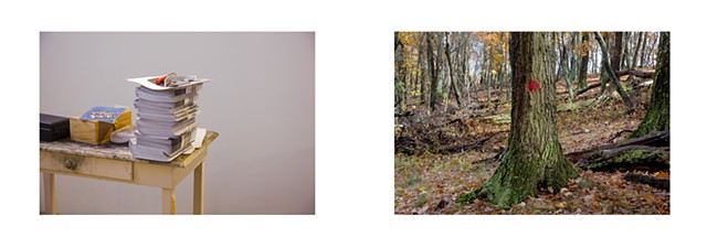 Diptych: University of Maryland, Masters of Fine Arts Brochures/Trail Blaze, Lost River State Park, West Virginia.

