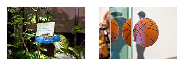 Diptych: The Butterfly Conservatory, American Natural History Museum, 2015/Jeff Koons, Whitney Museum 2014.