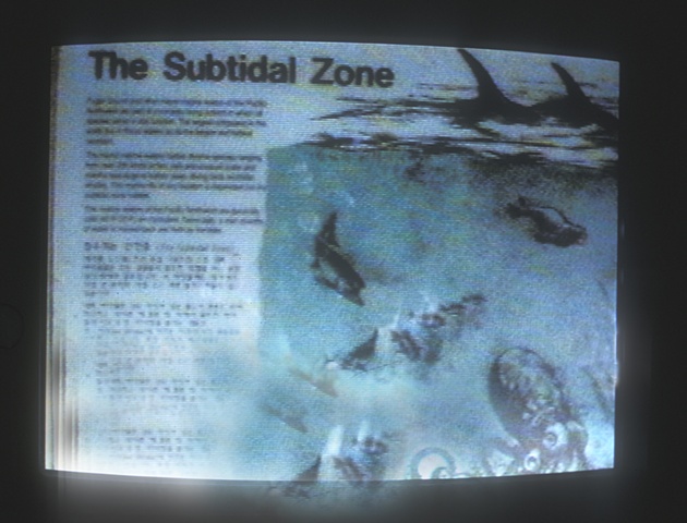 Subtidal Zone (sign at site)
1996
