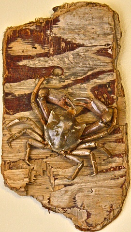 Kelp Crab Art Beach Art, pugettia producta