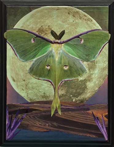 Otherworldy Landscapes Series. Luna Moth.