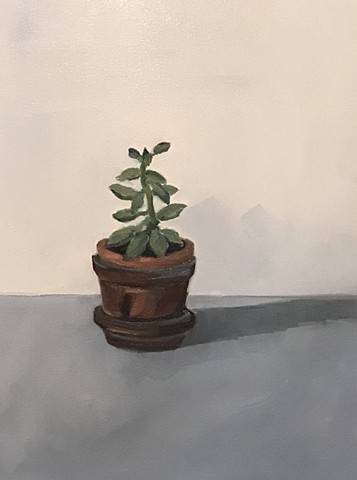 Little Lone Succulent
