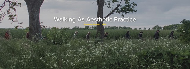 WALKING AS AESTHETIC PRACTICE